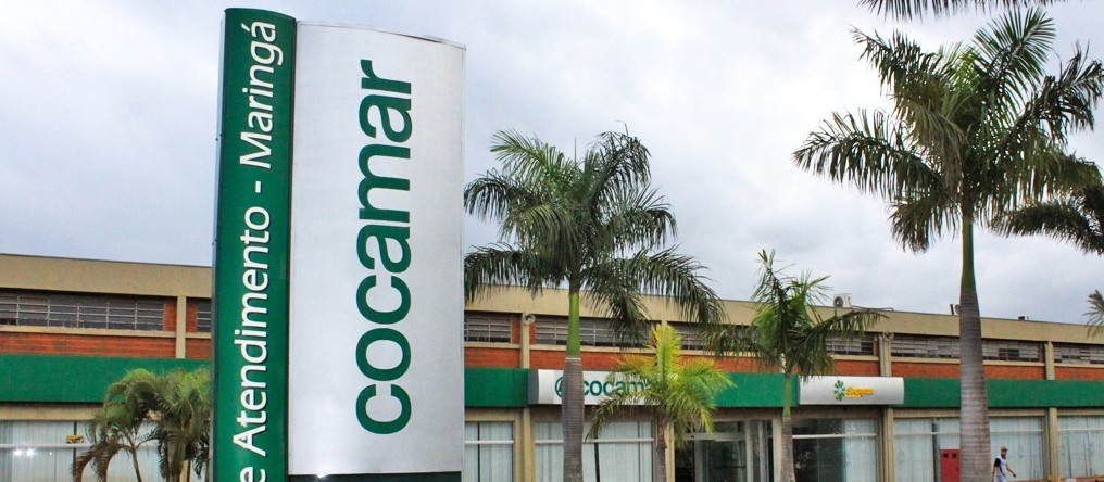 Cocamar anuncia distribuição de R$ 135,4 milhões aos cooperados