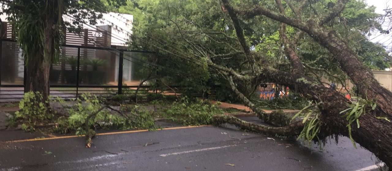 Maringá registrou ventos de 82 km/h e 99 mm de chuva durante o temporal