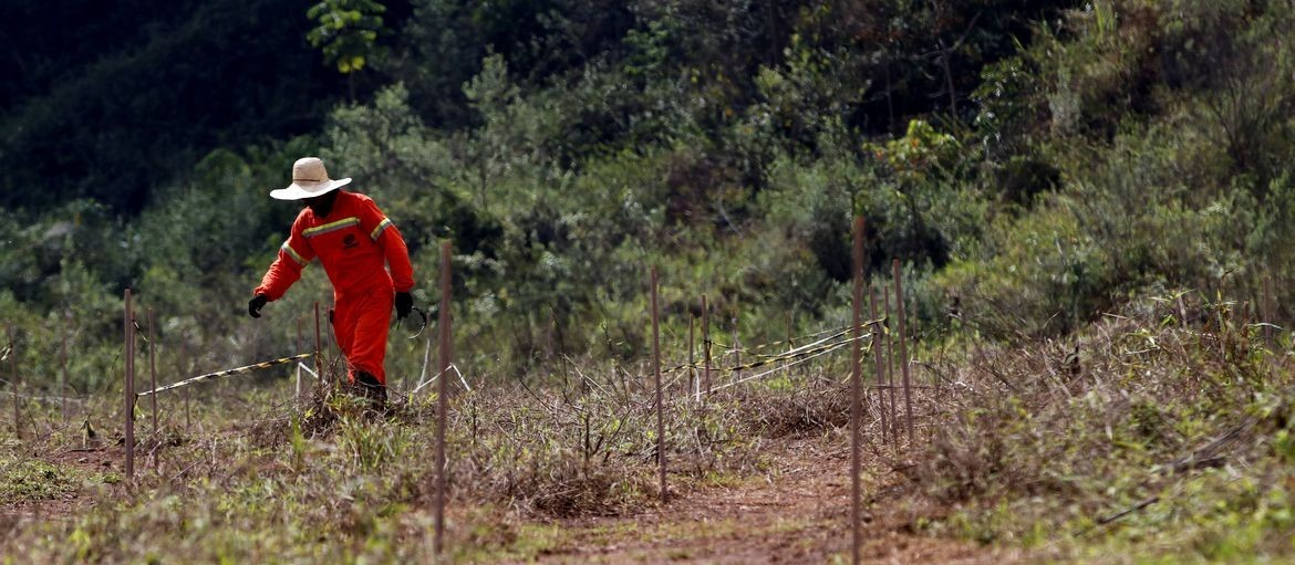 Produtor precisa estar atento aos cuidados com o solo