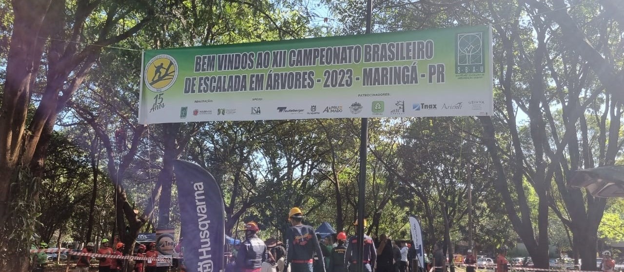 Campeonato Brasileiro de Escalada em Árvores começa nesta sexta-feira (15)