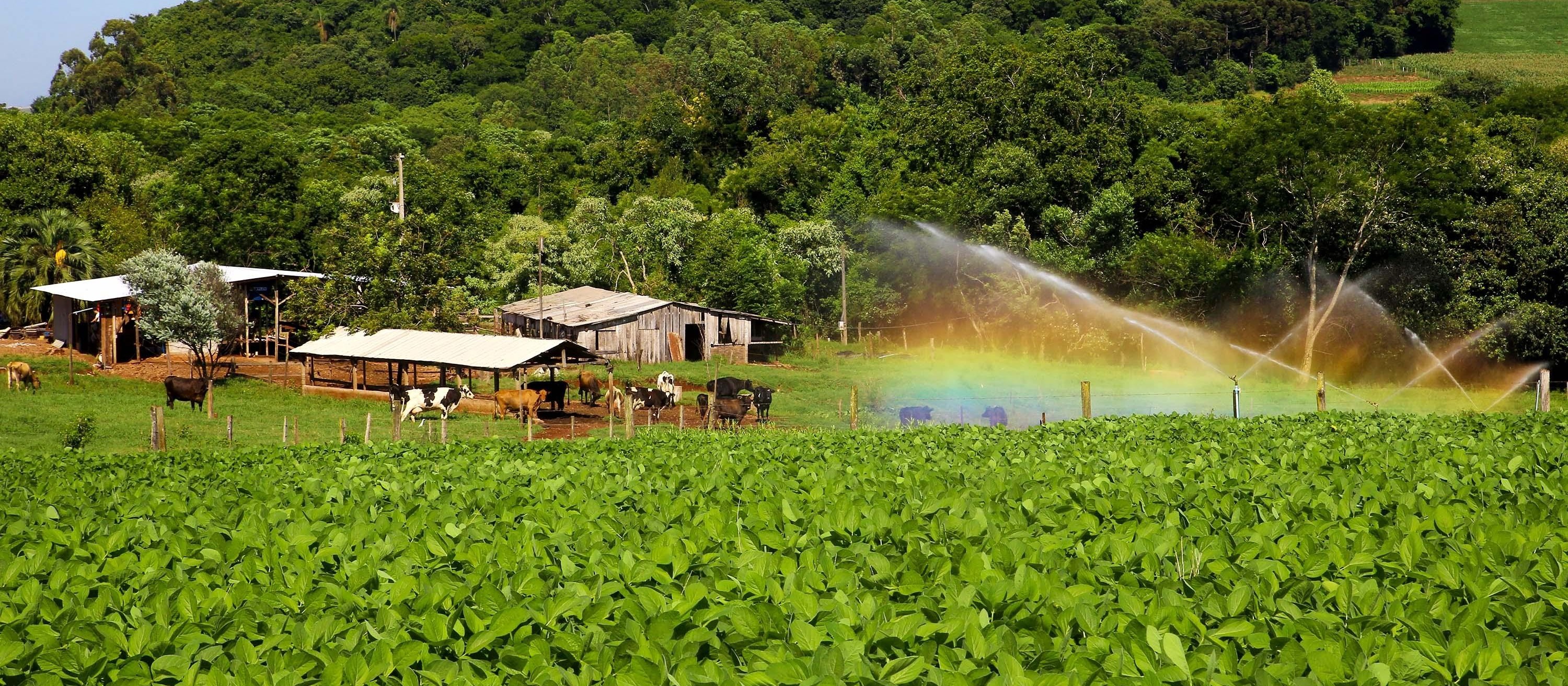 Contratos do Plano Agrícola e Pecuário sobem 32%