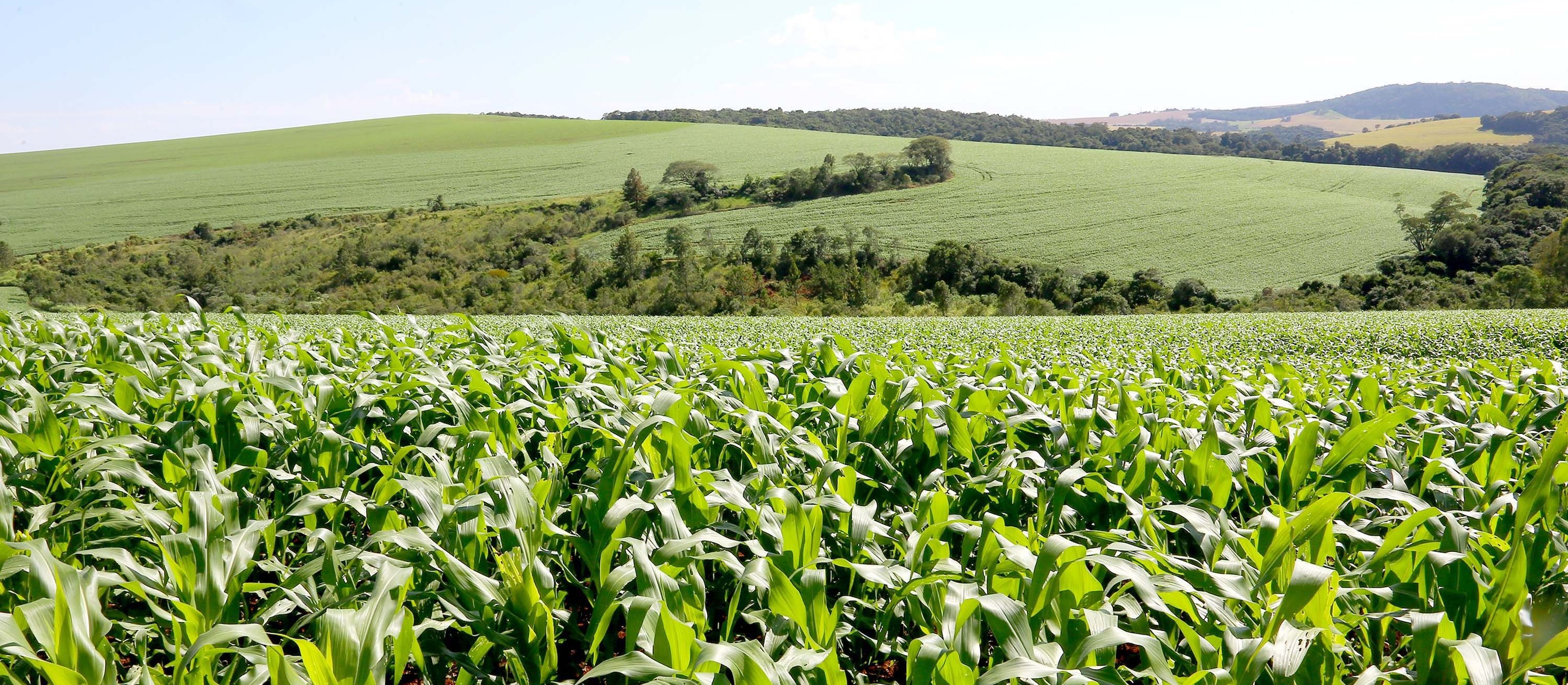 Compras externas de fertilizantes pelo Brasil  devem alcançar US$7,3 bilhões no segundo trimestre