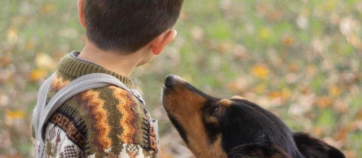 Maringá terá "pet servidor público" para atender crianças autistas
