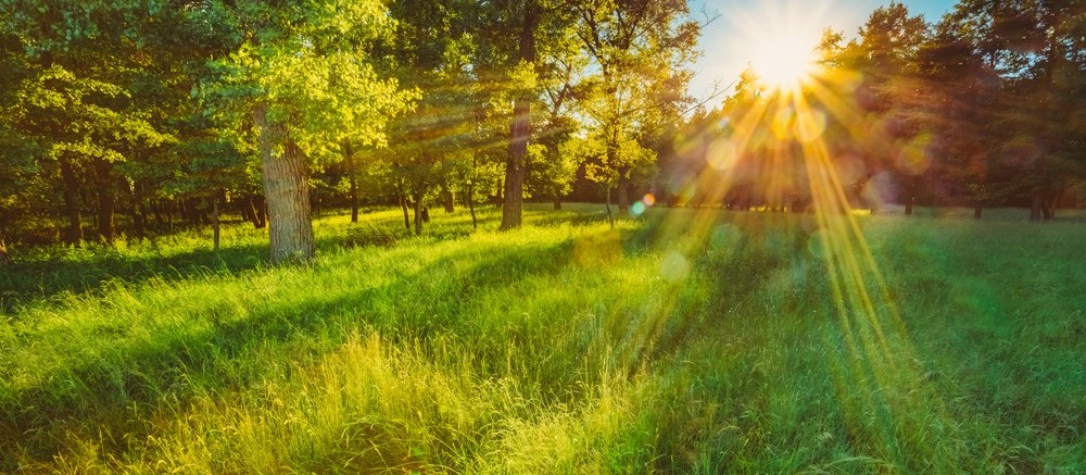 O enfoque espiritual da sustentabilidade