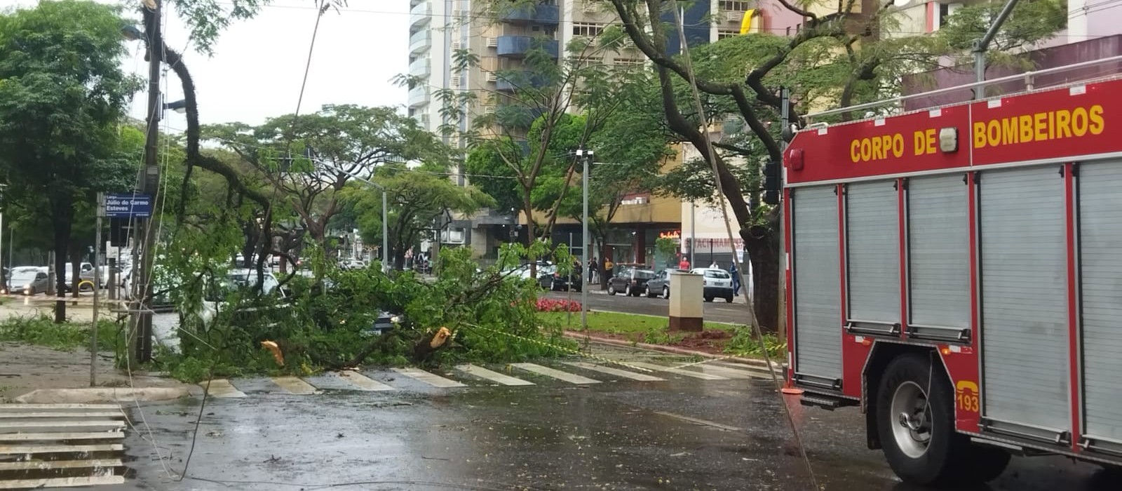 Temporal com granizo derruba árvores e provoca alagamentos em Maringá 