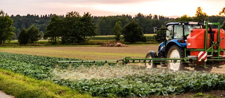 Uso de defensivos agrícolas aumentou 36% em 19 anos