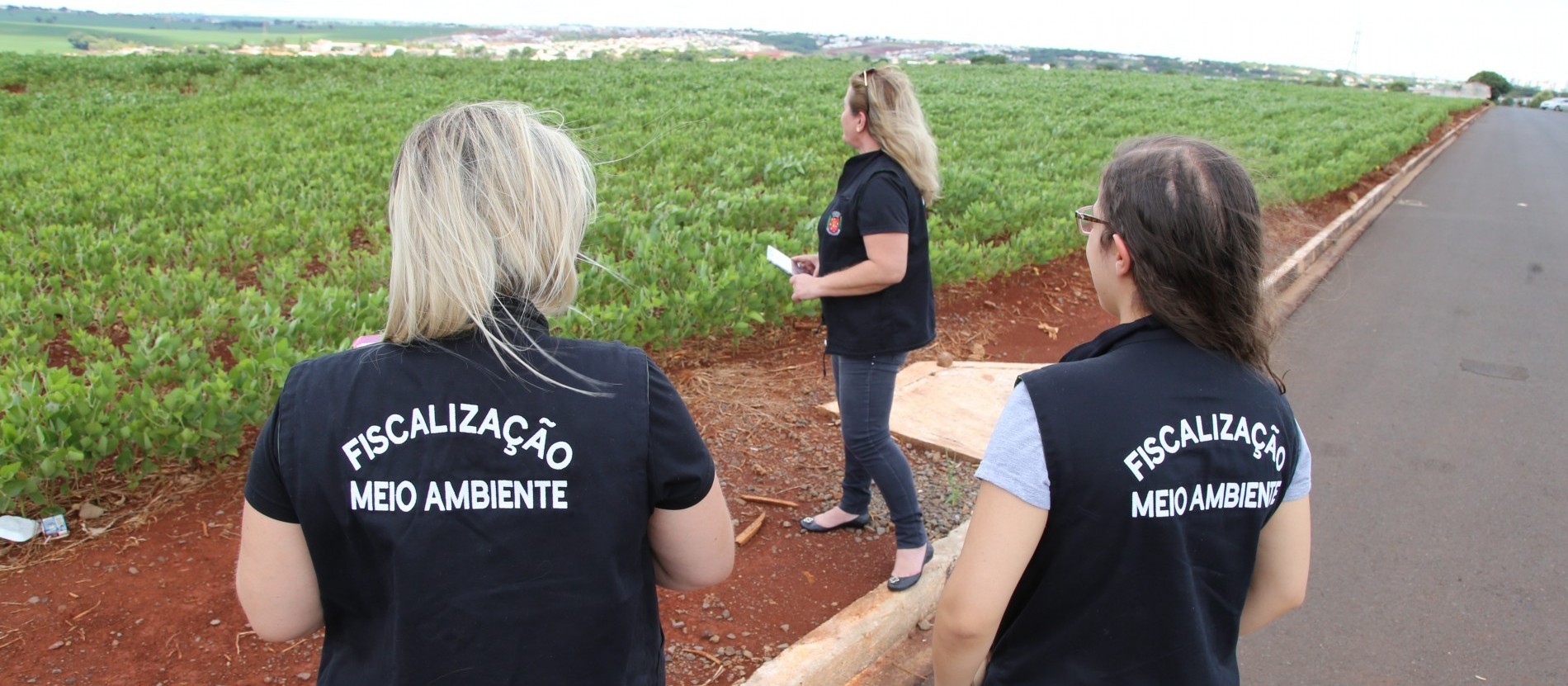 Abatedouro também é responsável por mau cheio em Maringá