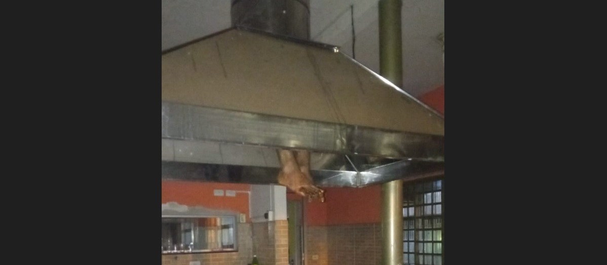 Furto: homem fica preso em duto de ventilação e policiais se deparam com cena bizarra