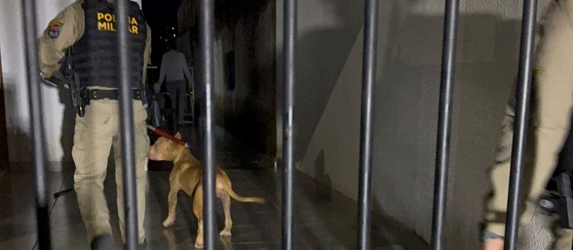 Pitbull ataca tutora e impede entrada dela em residência