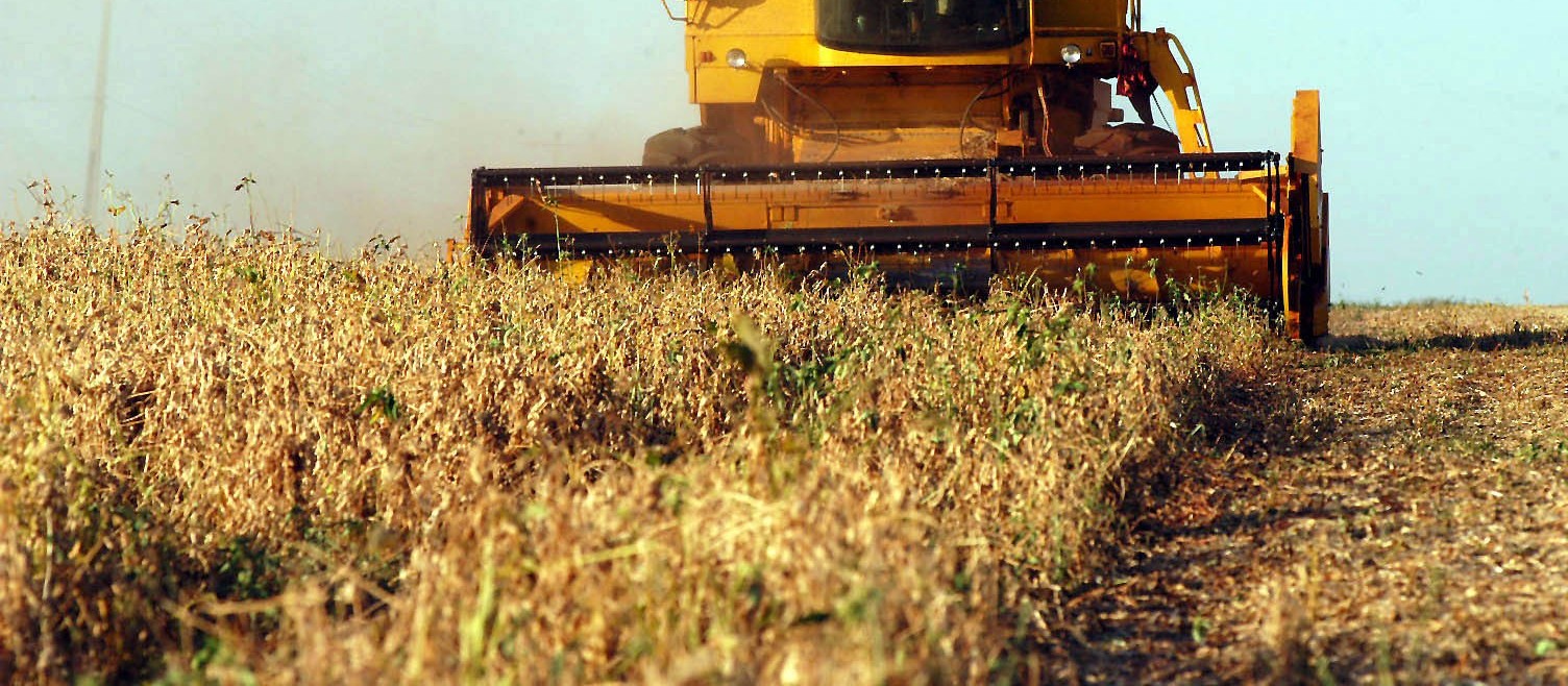 El Niño está caracterizado e pode seguir até o outono no hemisfério sul