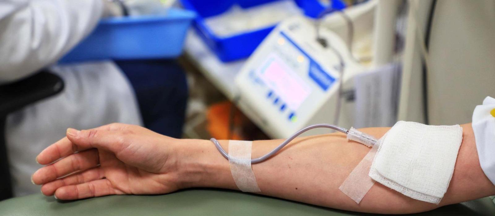 Dia do Doador de Sangue impulsiona coletas no hemocentro da UEM