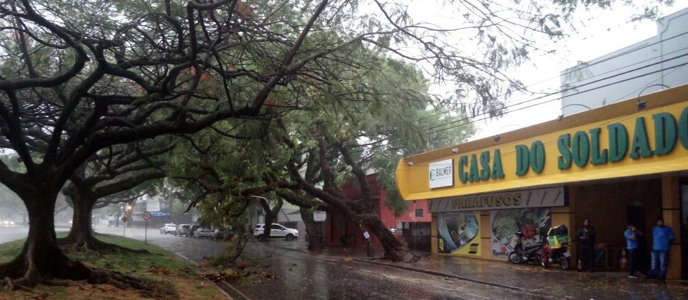 Chuva provoca estragos em Maringá