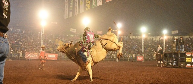 Rodeio da Expoingá tem a volta de categorias tradicionais