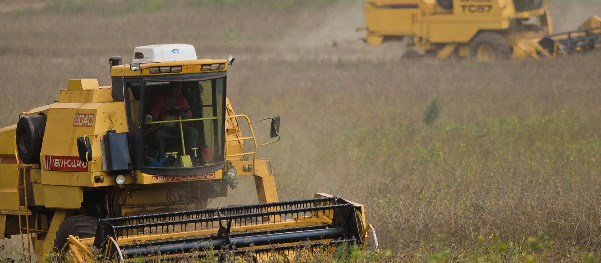 Seca pode afetar produção rural neste inverno