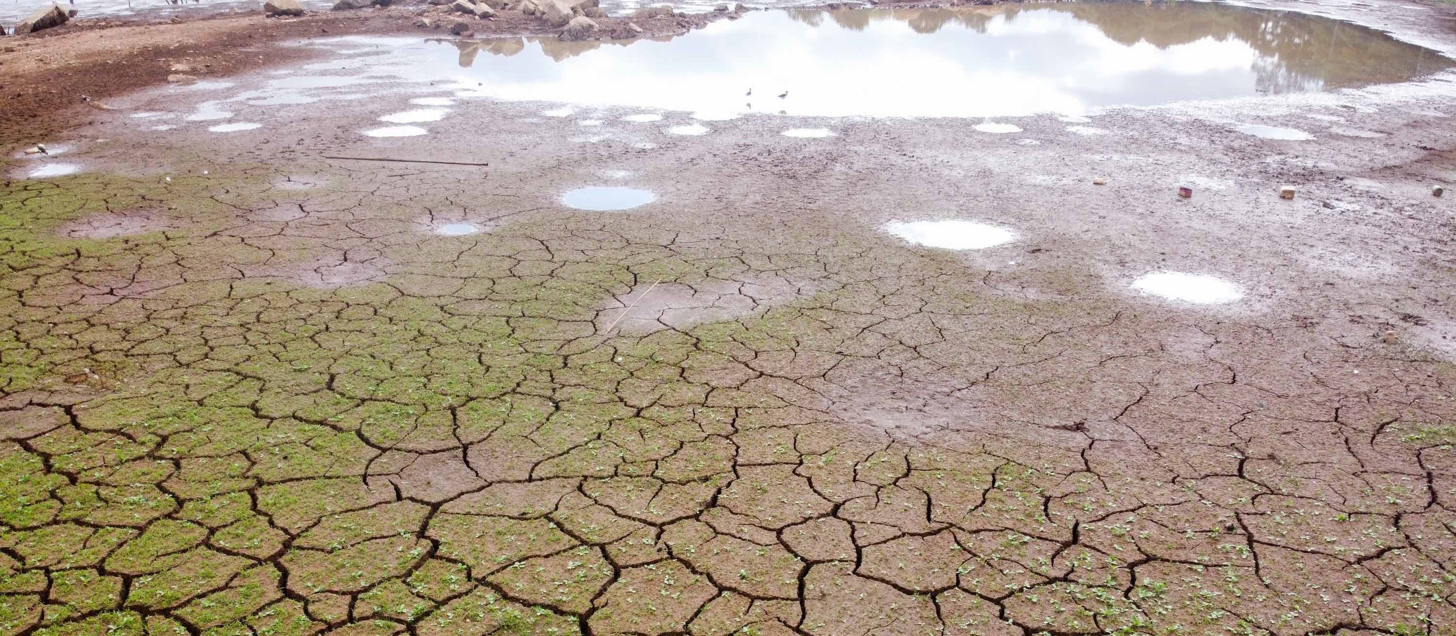 Crise hídrica amplia estimativa de perdas no setor agrícola