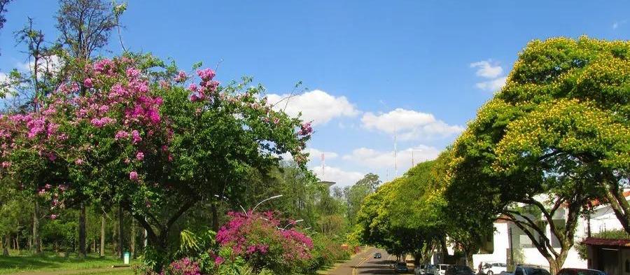Tempo deve ser manter estável e com céu limpo neste feriado da Consciencia Negra em Maringá (20)