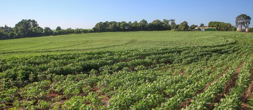 Crédito rural sem a taxas de juro pós-fixadas atreladas à inflação