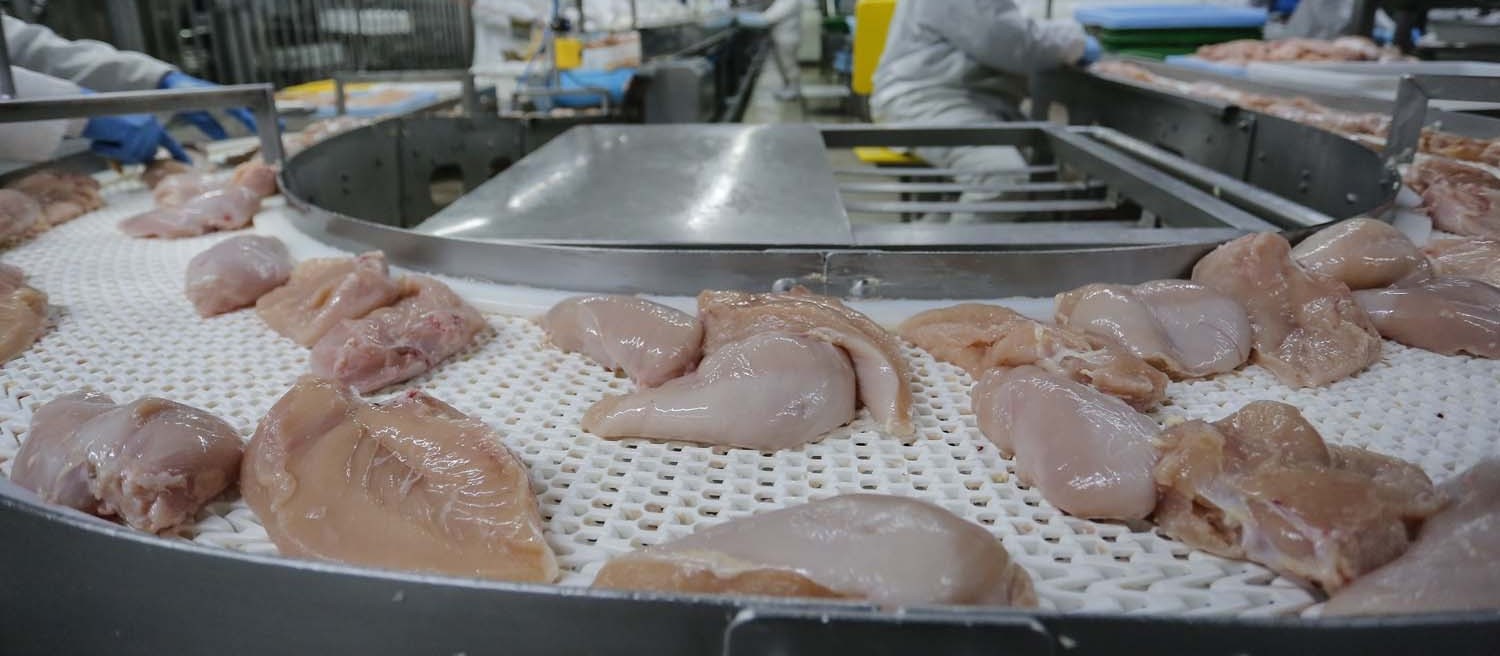 Exportação de carne de frango bate recorde 
