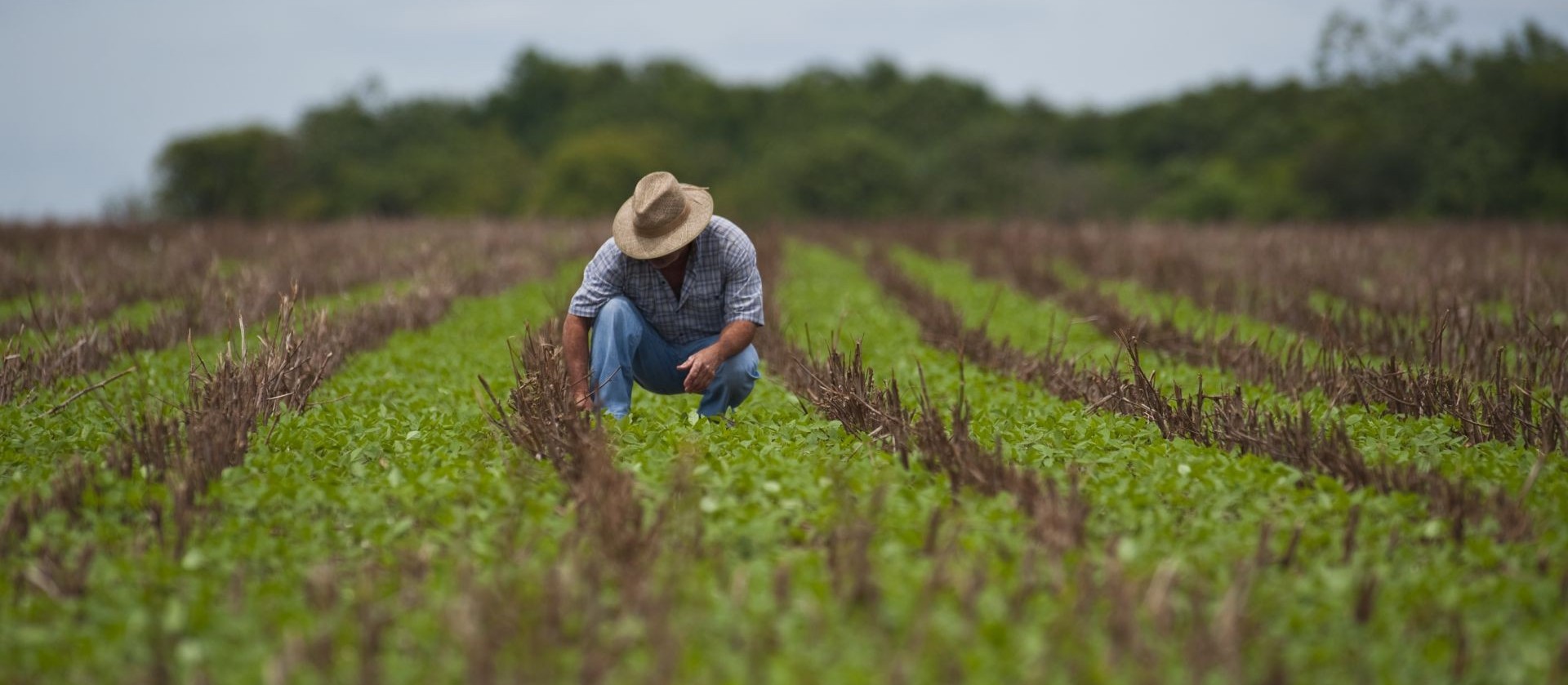 Após o STJ julgar o Plano Collor no crédito rural, será que o assunto finaliza?