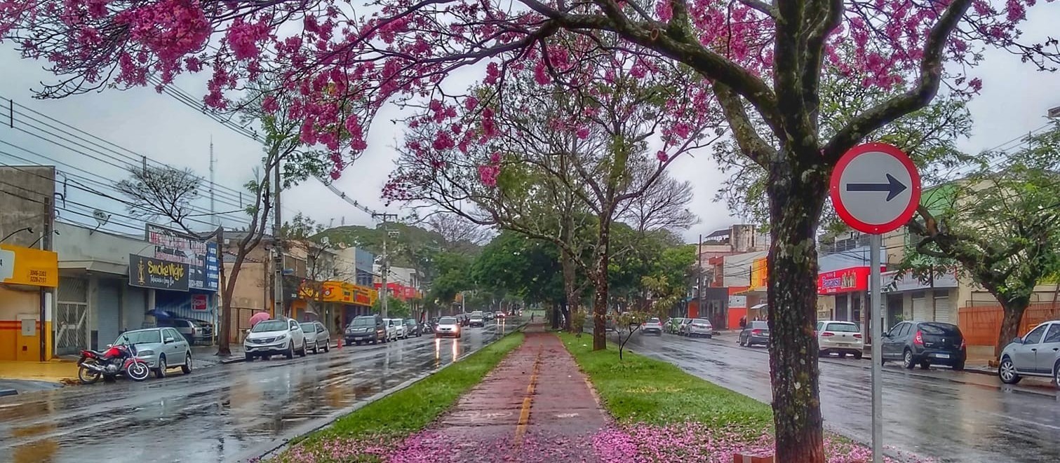 Quarta-feira (4) com bastante chuva em Maringá