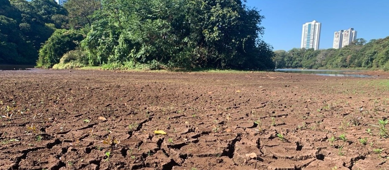 Lago do Parque do Ingá não voltará ao normal tão cedo