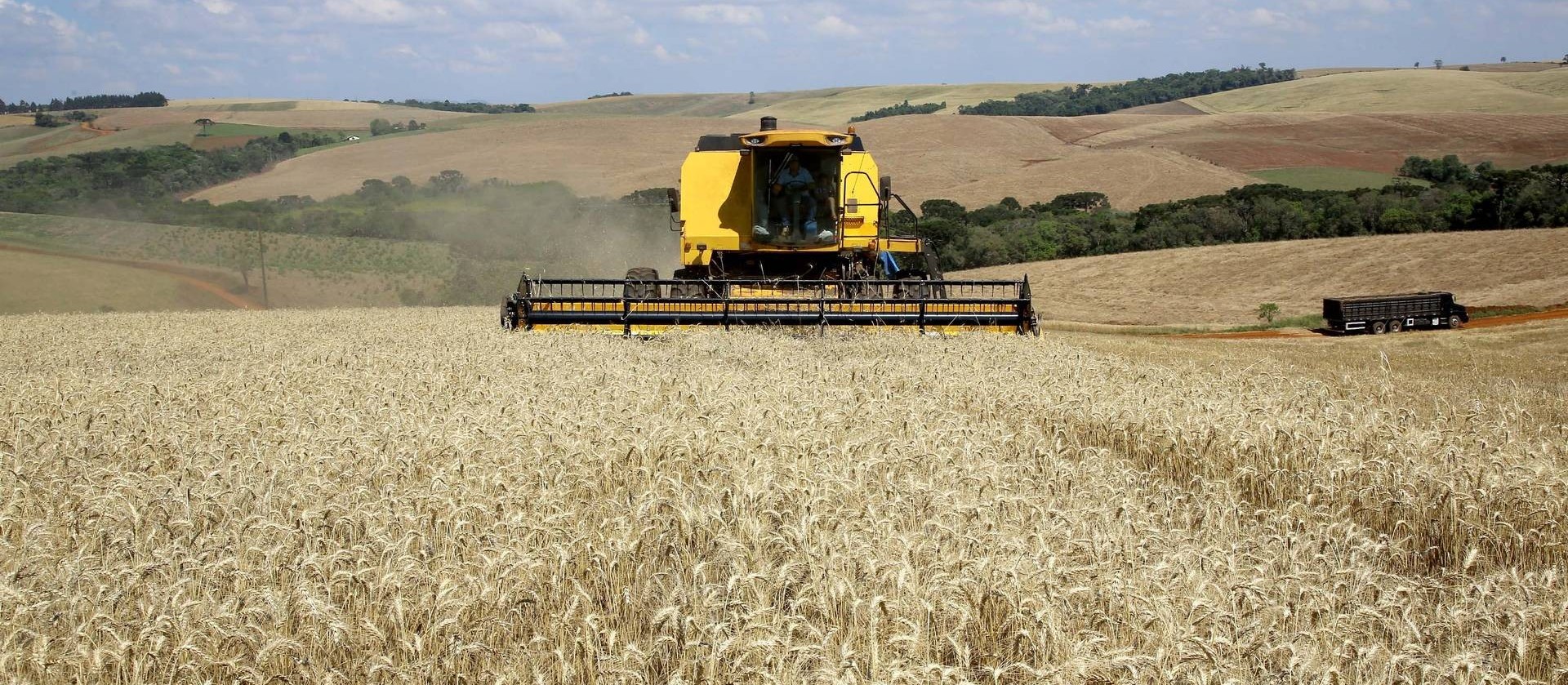 Safra de grãos do Paraná deve atingir 23 milhões de toneladas 