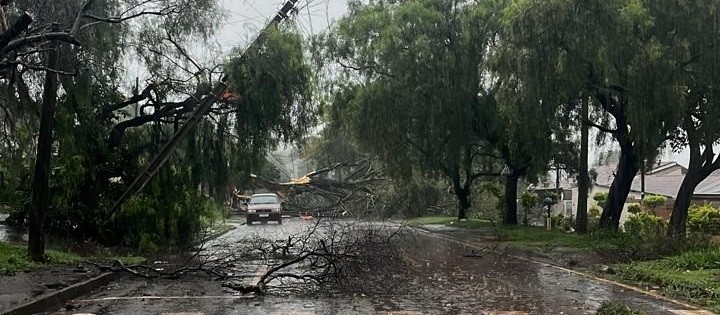 Pós-temporal: cemitério de Campo Mourão estará aberto para receber visitantes