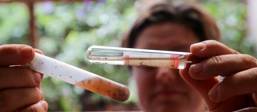 Maringá deve entrar em epidemia de dengue na próxima semana