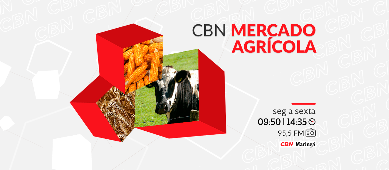 Saca de 60 kg da soja custa R$ 120,00