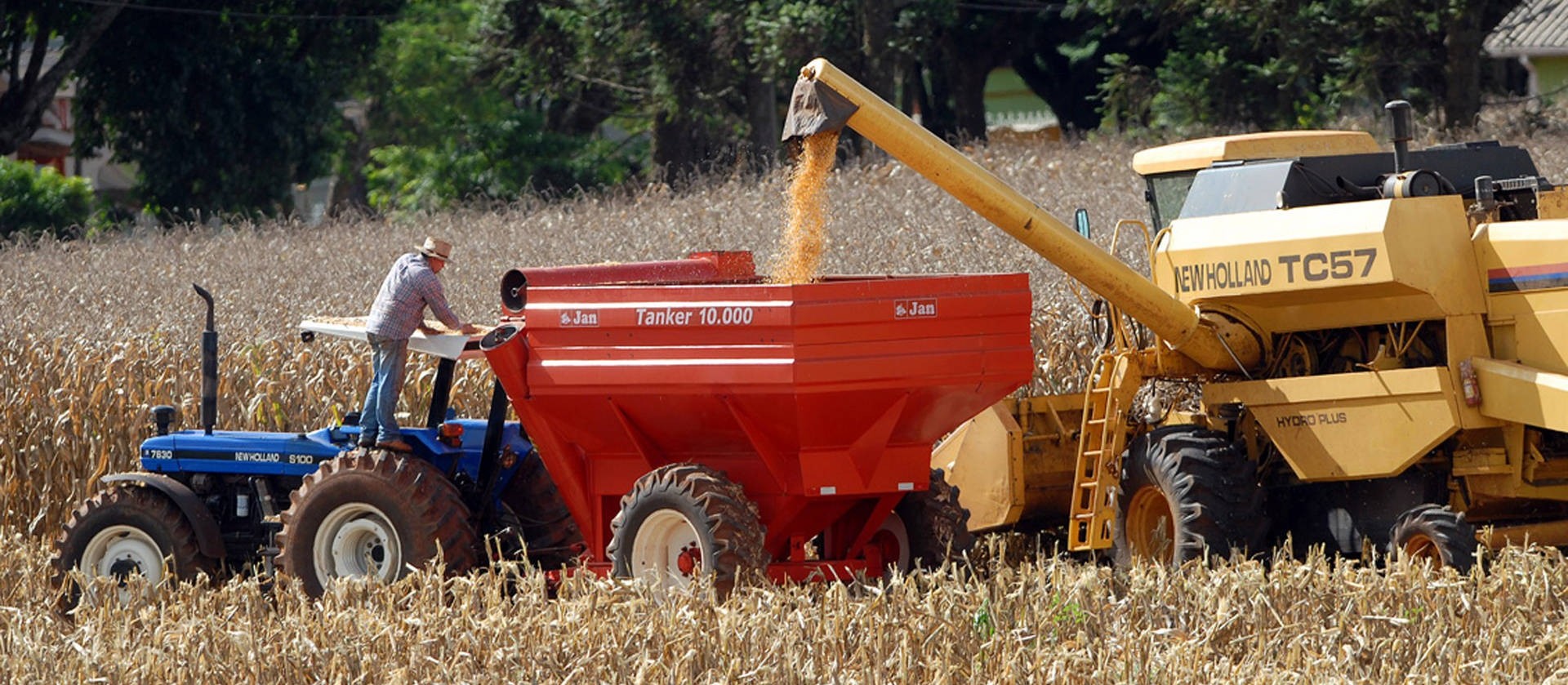 Brasil deve colher 237 milhões de toneladas de grãos na safra 2018/19