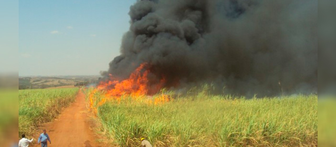 Campanha contra incêndios criminosos oferece recompensa em troca de informação