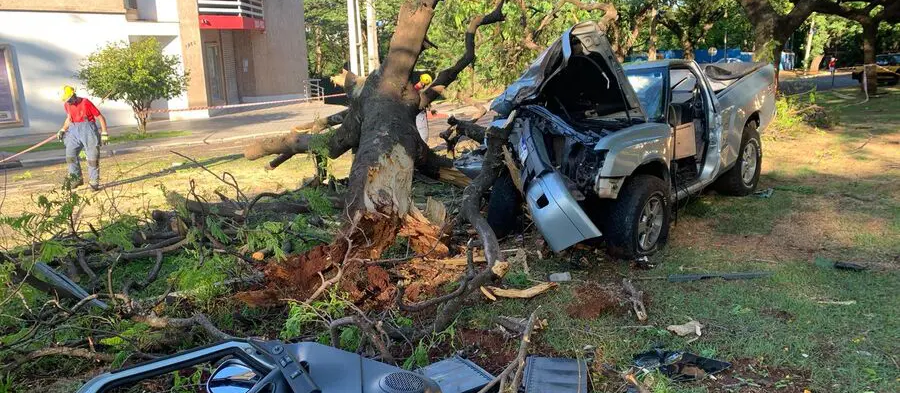 Câmera flagra momento em que motorista perde o controle e bate em árvore em Maringá; vídeo 