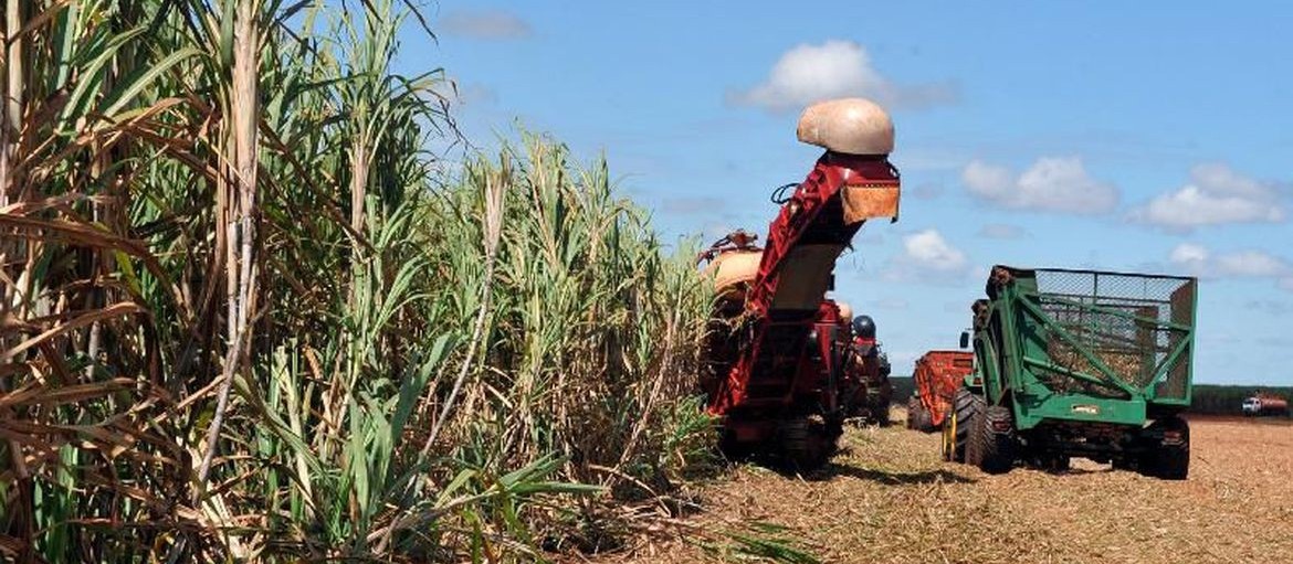 Programa integra produção de alimentos, carnes e grãos