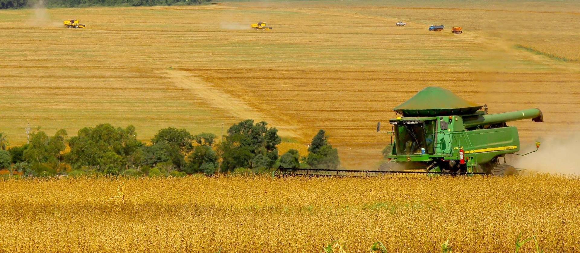 Agricultor tem papel fundamental na preservação do meio ambiente