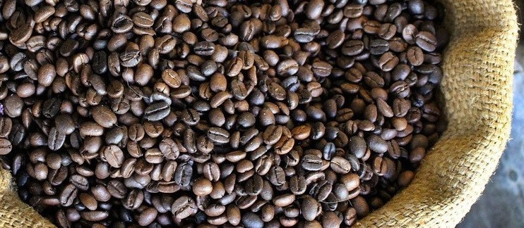 Café em coco custa R$ 6,17 o quilo em Maringá