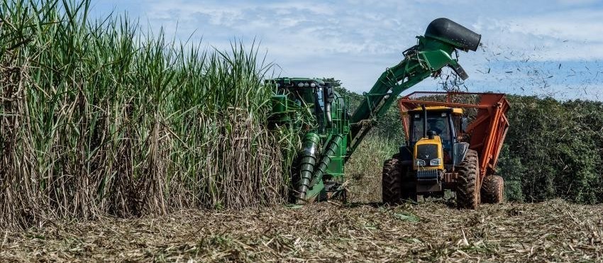 Alcopar divulga estimativa de produção