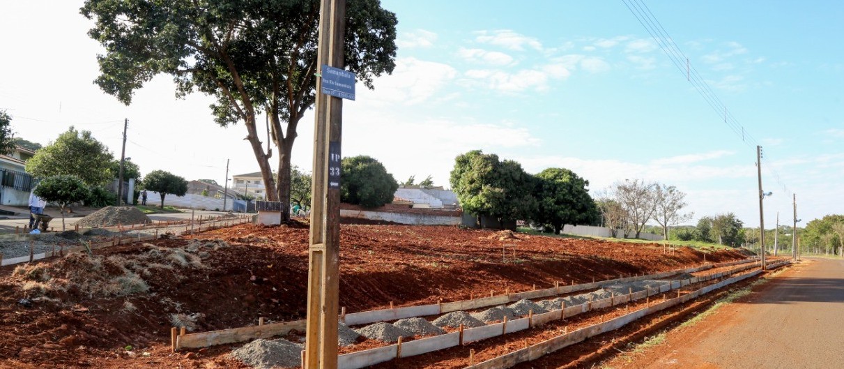 Maringá terá viveiro de flores comunitário