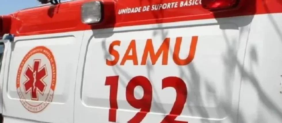 Cão da raça pitbull ataca criança e deixa outras duas pessoas feridas em Maringá