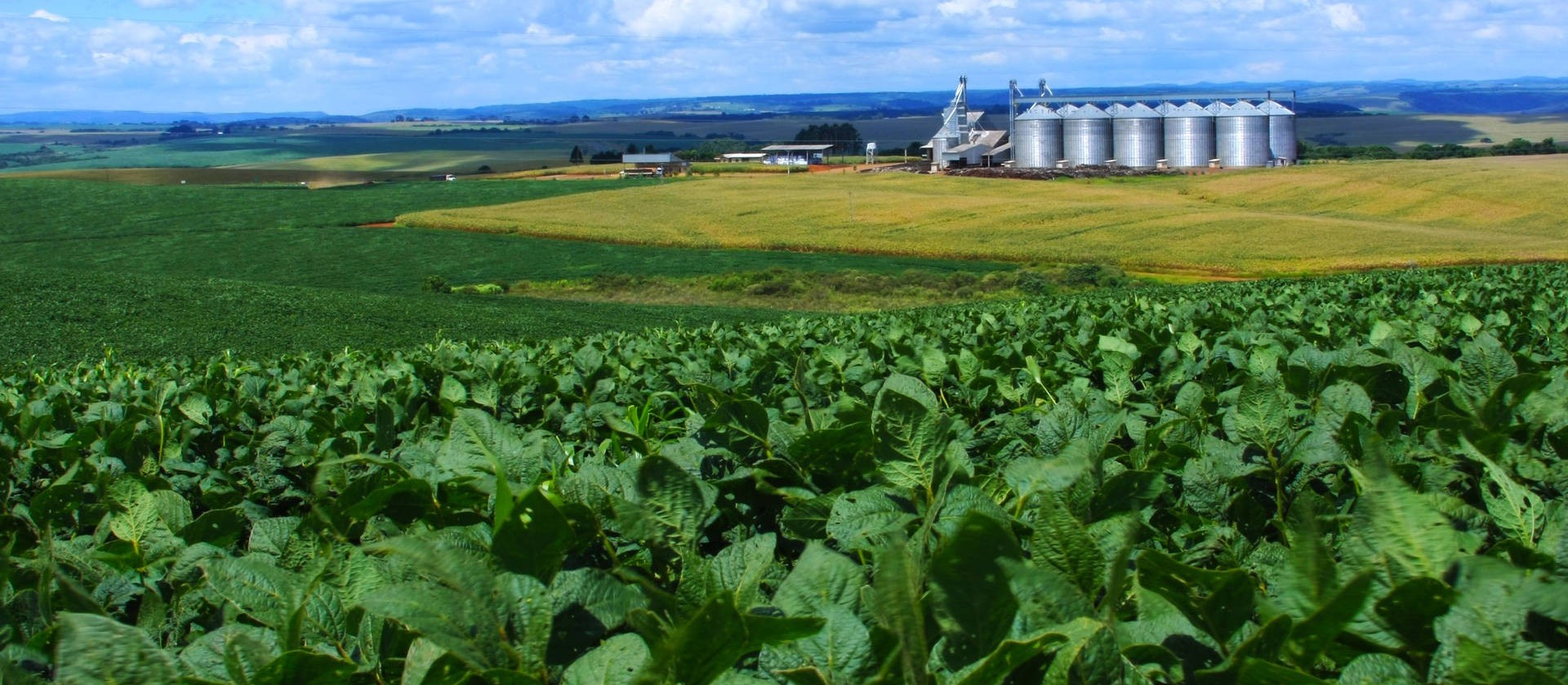 Plano Agrícola e Pecuário 2018 terá R$ 194 bi