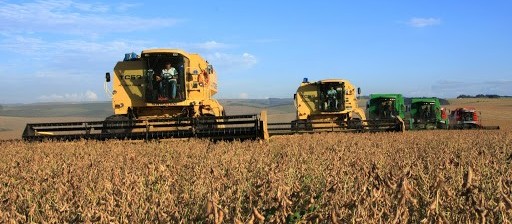 Brasil deve produzir 124 milhões de toneladas de soja na safra 2019/20