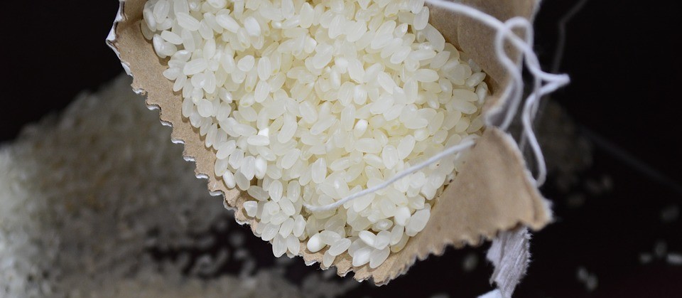 Rendimento da colheita de arroz fica abaixo do esperado