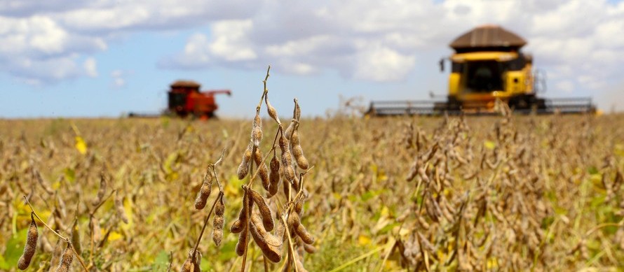 Consultoria reduz estimativa de produção de soja da safra 2020/2021
