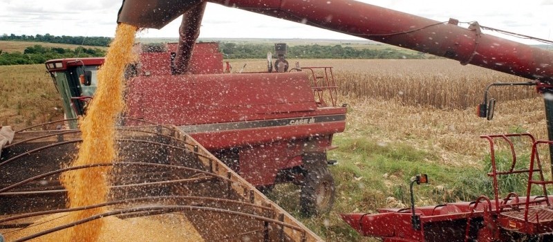 Safra de grãos de 2020 deve bater recorde e chegar a 240 milhões de toneladas