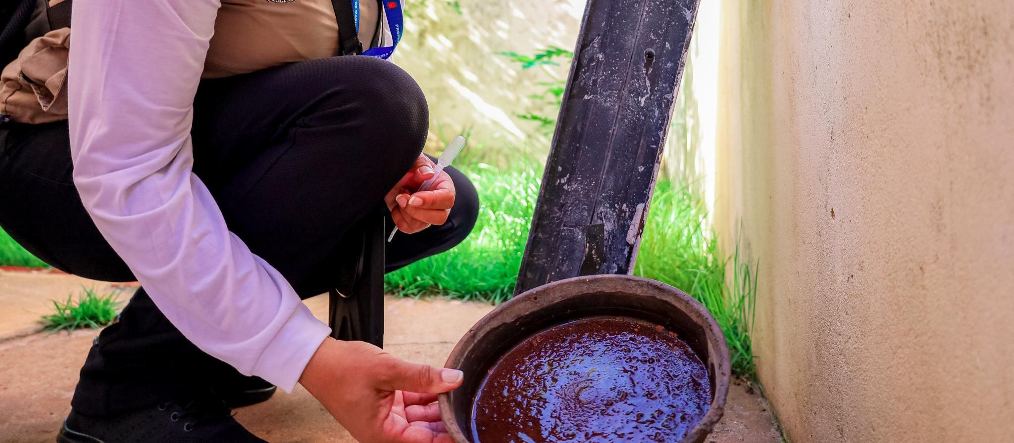 Maringá registra 452 casos de dengue e primeira morte do ano