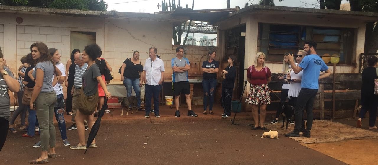  ONG não quer carnaval de rua na zona 10