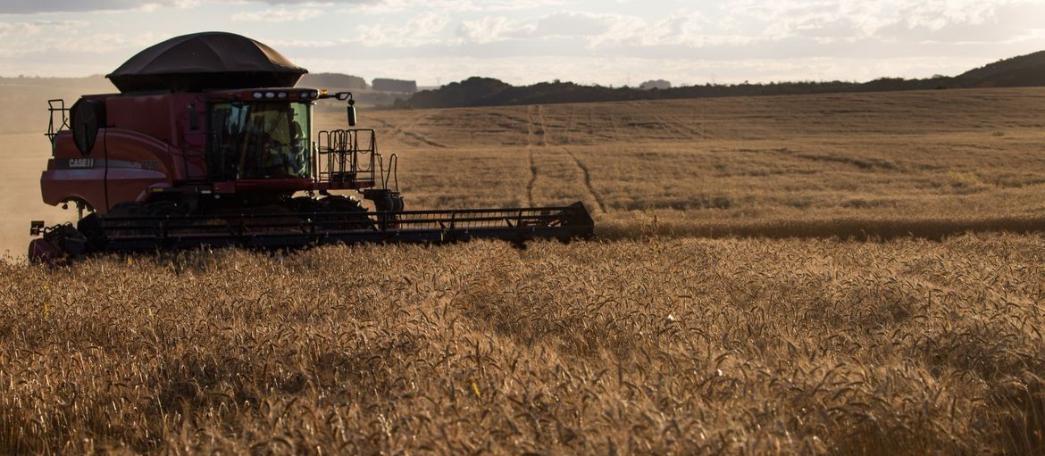 Mesmo com a pandemia, agronegócio brasileiro apresentou bons resultados em 2020