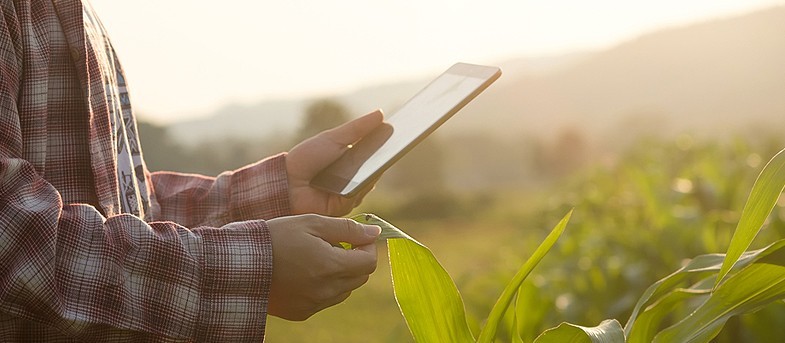 Agronegócio do Brasil  exportará US$ 1 trilhão em dez anos