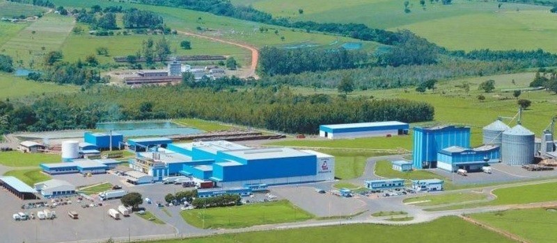 Covid-19: Abatedouro de aves de Cianorte afasta 800 trabalhadores