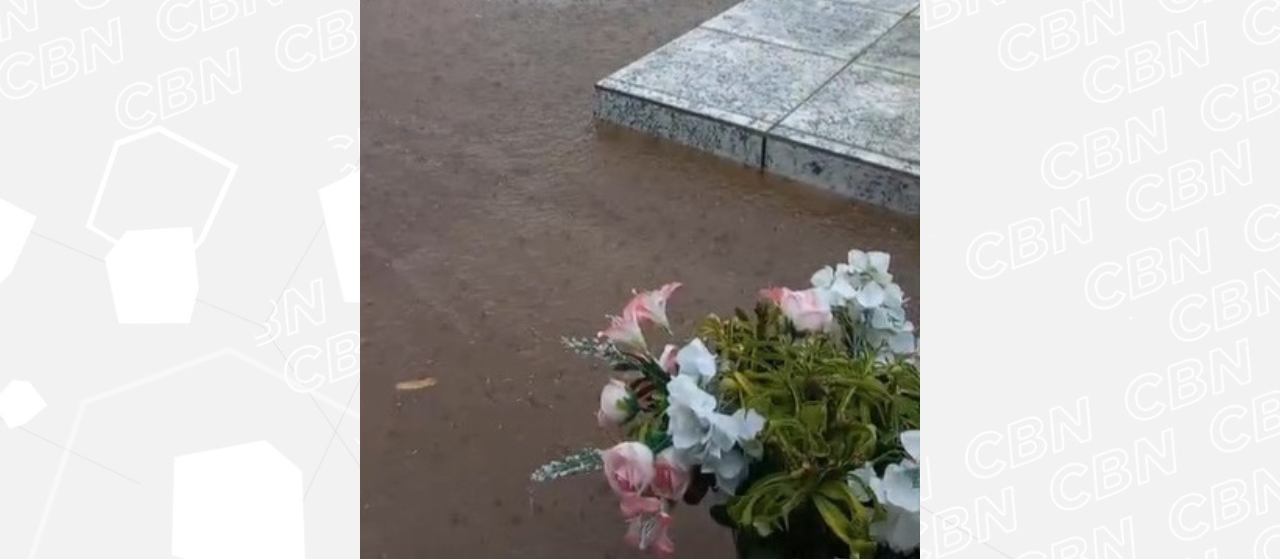 Dezenas de escorpiões aparecem em cemitério após chuva