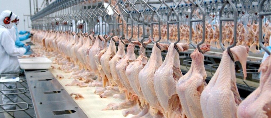 Aumento no preço da carne de frango chega ao consumidor